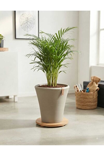poliva home Begonvil 38 Cm Yuvarlak 23 Litre Plastik Saksı Drenaj Izgaralı Çi...