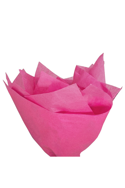 Papette Set of 50 pieces Silk paper 17g CERISSE - 50 x 75 cm