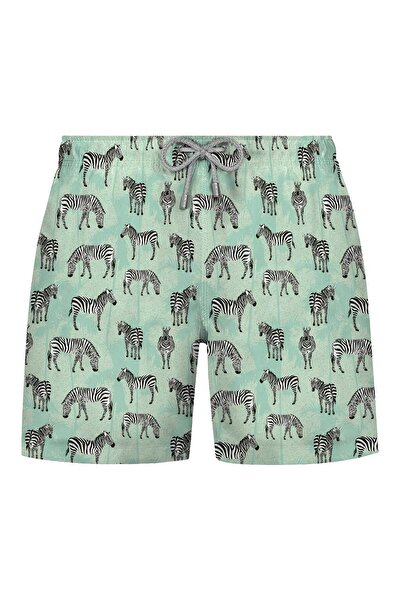 Bonitas Beachwear شورت بونيتاس للرجال زيبرا-مينت 22701