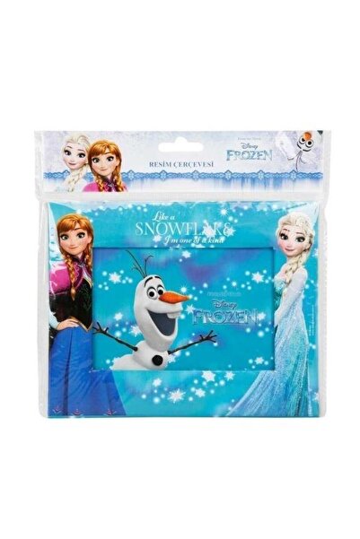 Disney Frozen Picture frame