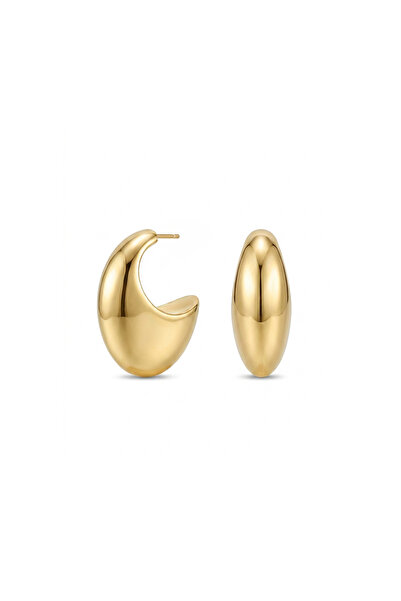 Charmist Steel Grande Luna Earrings