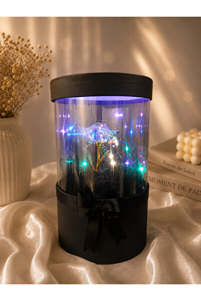 Floroon gift Led Işıklı Sonsuzluk Gülü Sihirli Fanus Kutu | Sevgililer Günü |...