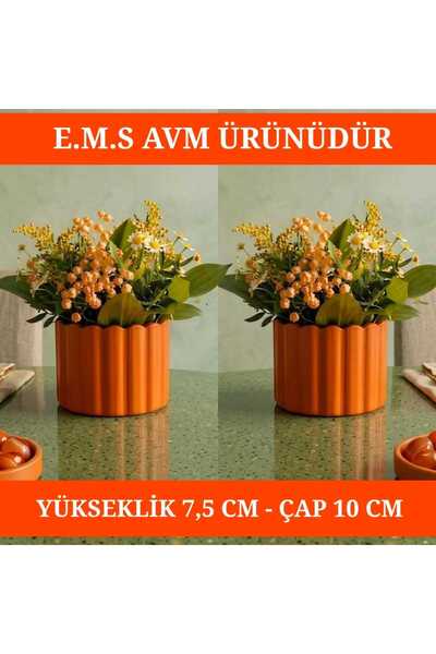 E.M.S AVM TURUNCU ÇUBUK DESEN SAKSI SUKULENT SAKSISI MENEKŞE SAKSISI DEKORATİ...