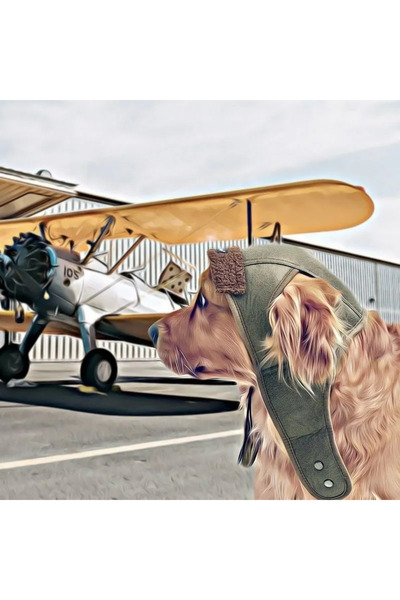 Petza Küçük Orta ve Büyük Irk Köpek Şapka Pilot Yeşil