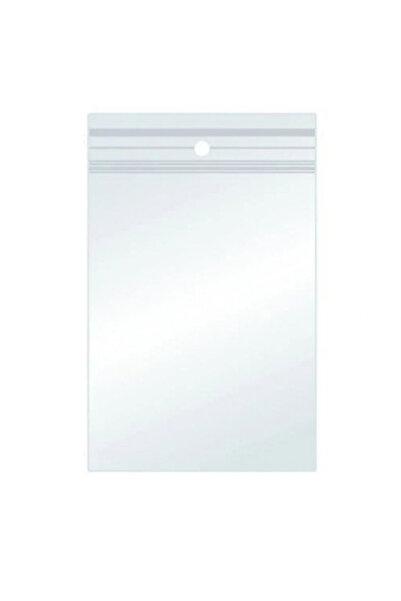 TECLA EDITION Set 100 Pungi cu Inchidere Zip, 250 x 350 mm, Grosime 40 Micron...