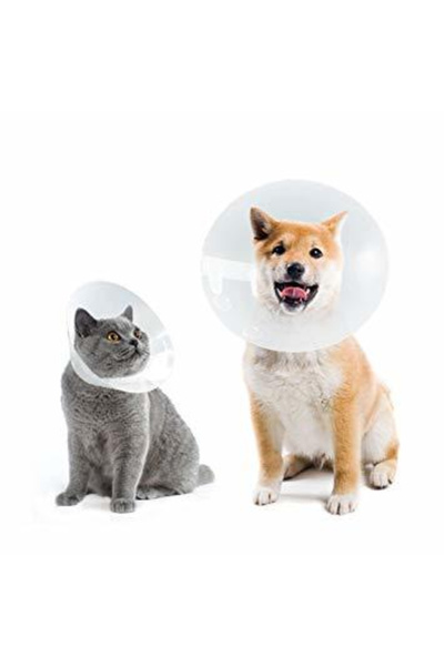 Farmena Kedi ve Köpek için Ekonomik Yakalık 100 mm