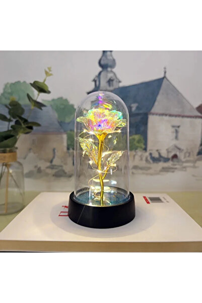 Choice11 Gold Warm light Rose Light Beautiful Realistic Looking Night Light R...