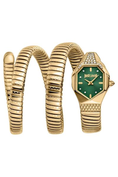 Just Cavalli JC1L370M0035 Kadın Kol Saati