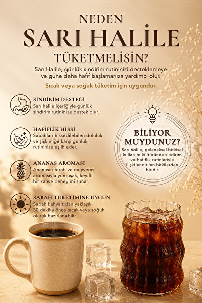 Vitabro Sarı Halile Kahvesi 150 g 30 Günlük Şekersiz Hafif İçimli Bitkisel Kahve