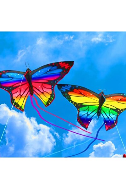 Choice WHITE Colorful Butterfly Kite Steering Beautiful Butterfly 1.45m Kite ...