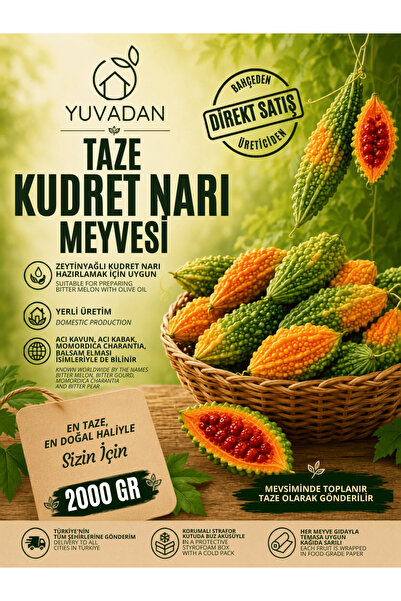 YUVADAN Yeşil Kudret Narı Meyvesi - 2000 gr | 10 yıllık kudret narı üreticisi...