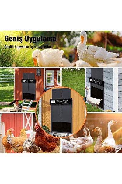 SYNOPE Otomatik Güneş Enerjili Zaman Ayarlı Tavuk Ördek Kümesi Kapısı Işığa D...