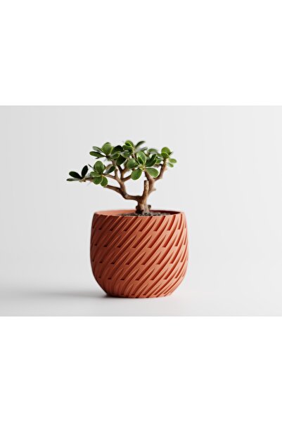 Tasarım Lioren Dekoratif Saksı - 16 cm