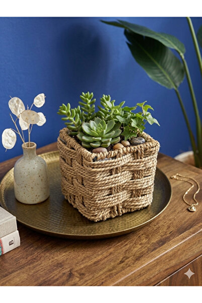 Ahşap Evi Rattan Hasır Kare Saksı Çok Amaçlı Sepet 12x12 Organizer