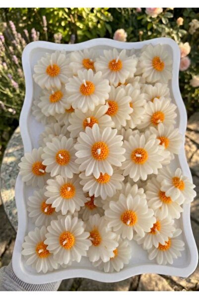 FLORYN 10’lu Papatya Şekilli Dekoratif Mum Seti | Mini Çiçek Mum | Hediyelik ...