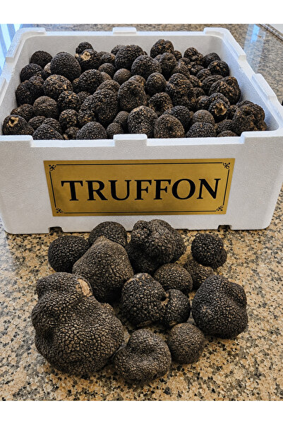 TRUFFON Trüf Mantarı Taze Siyah Trüf Mantarı 200 g ( Tuber Aestivum )