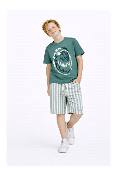 kidstalya Green Boy's Set with Lion Print Striped Woven Shorts