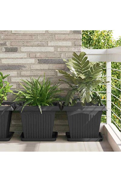 vidaxl Tava Patrata pentru Flori 24 pcs Negru 36 x 36 x 2.5 cm Plastic