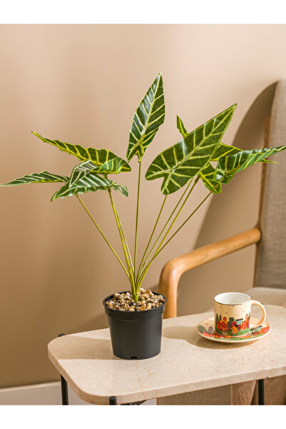 LC Waikiki Floare artificială decorativă 40 cm