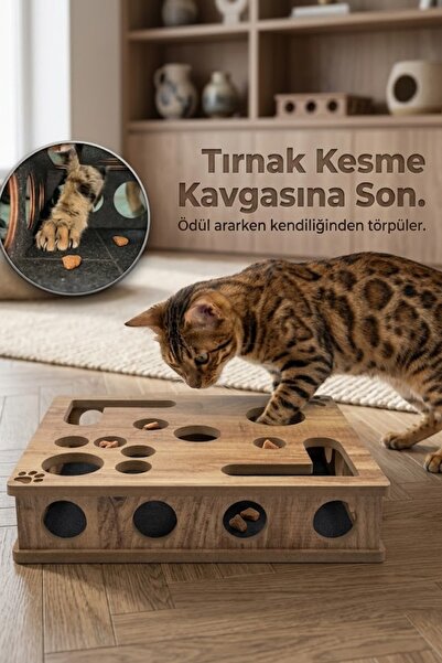 Reyo Pet Kedikür Cat Scratching and Play Box – Nail Grinder Interactive Cat Toy