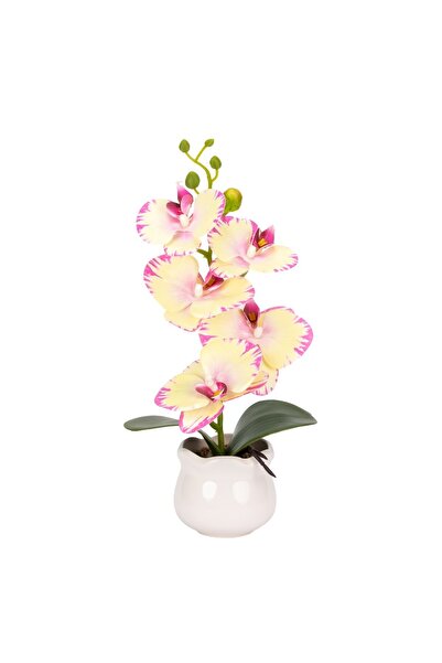 Naimeed Company -looking orchid in a ceramic pot, 49 cm, Naimeed D6894, Pale ...