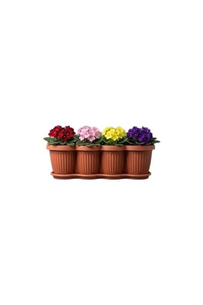 NIOVEL Jardiniere B4 60 cm Maro