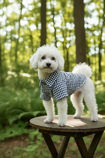 PATİLİNKA Cat - Dog 100% Cotton Poplin Summer Shirt - Undershirt - Dress - Ou...