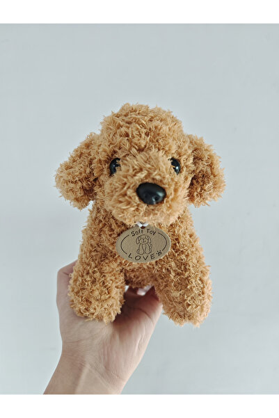 choice2 Gold Teddy Dog Plush Toy for Pet Interactive Chew-resistant Puppy Tee...