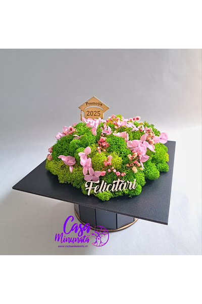 Casa Minunata Graduation Cap Gift Promotion 2026
