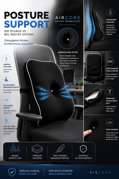VISCORA Posture Support Aircore Ergonomic Lumbar Support Cushion