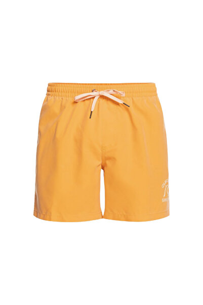 Quiksilver Mens Surfwash 15" Swim Shorts S
