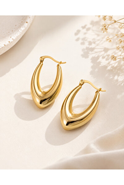 Archhazel Jewelery Steel June Earrings