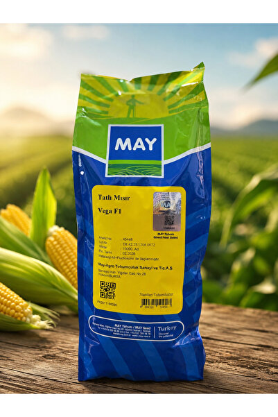 MAY TOHUM MAY Agro VEGA F1 Tatlı Mısır Tohumu | Tatlı ve Yüksek Verimli Hibri...