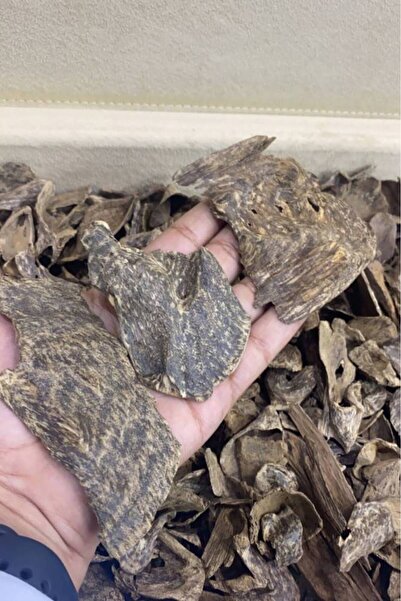 OEMS Premium Ceylon Oud - Aqwa