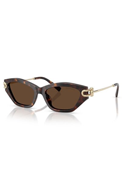 Tiffany&Co Women's Slanted Sunglasses Tf 4231U 8015/3g 53