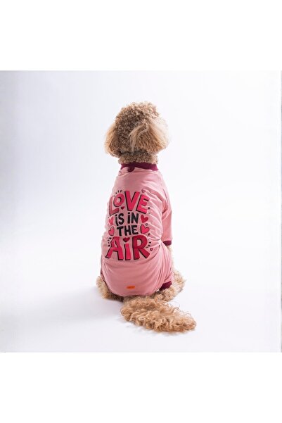 Pawstar Pink Love Air Pajamas for Medium and Large Breed Dogs - Dog Jumpsuit ...