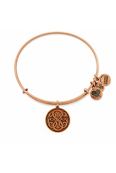 Alex and Ani Bratara Metal A12EB07RG