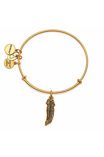 Alex and Ani Bratara Metal A17EB25RG