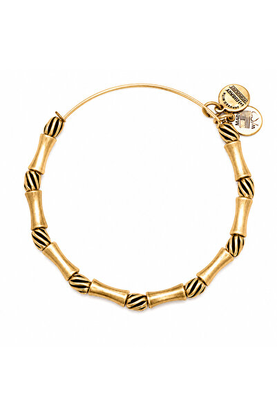 Alex and Ani Bratara Metal A13EB15RG