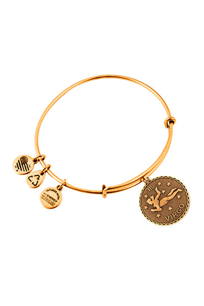 Alex and Ani Bratara Metal A07EB40VIRG