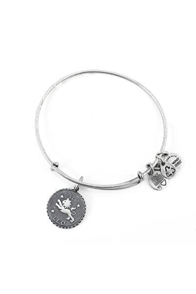 Alex and Ani Bratara Metal A07EB40LERS