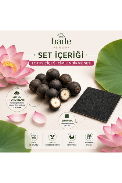 Bade Shop 4 Adet Nilüfer (Lotus) Çiçeği Tohumu Çimlendirme Seti – Zımpara ve ...