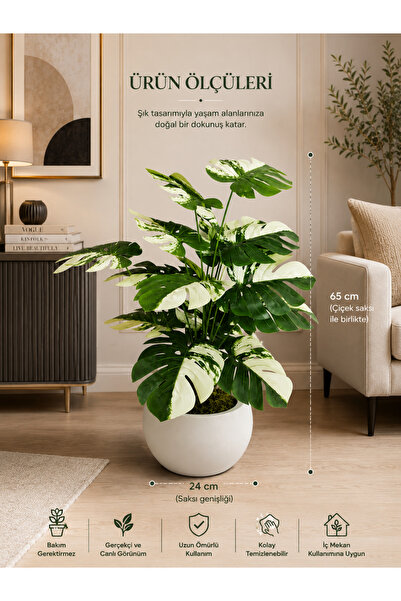 Gülümseten Avm Yapay Monstera Variegata Beyaz Saksılı Dekoratif Salon Çiçeği ...