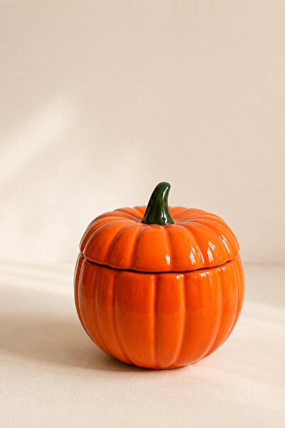 Mirilliahome Ceramic Storage Container with Pumpkin Design, Spice Jar, Sugar ...