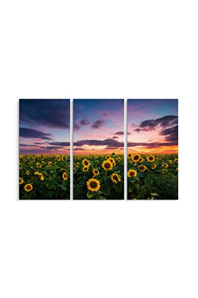PRINTFINIT Sunflower Painting 3 Pieces