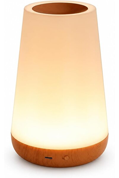 FNSAY LED Touch Table Lamp, 5-Level Dimmable Warm Light, RGB Decorative Lamp ...