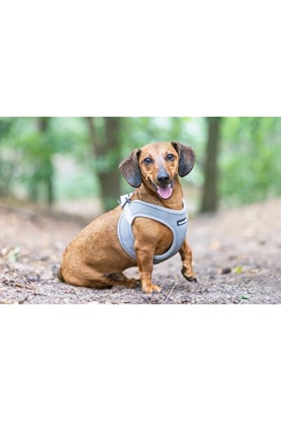Yıldızan Terra Organic Dog Collar, Neoprene, Green, Xs, 30-35cm Terra Organic...