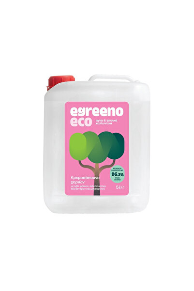 OEM Egreeno Επαγγελματικό Αντισηπτικό Χεριών 5 λίτρα HA/5 λίτρα