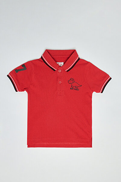R&B Print Detail Polo T-Shirt and Short Sleeves