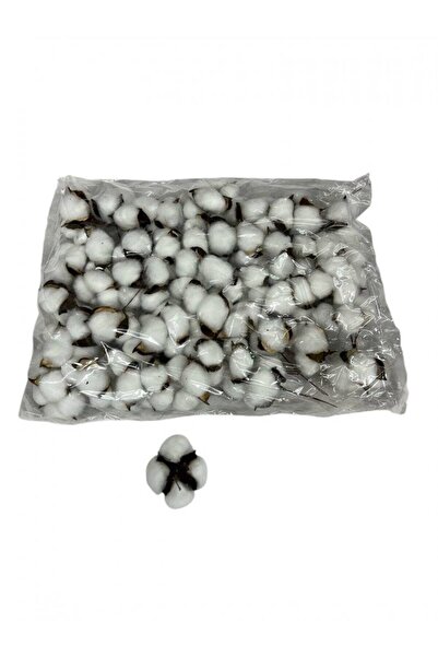OEM Flori Bumbac 50/set Alb